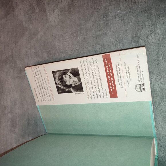 Book Deep End of the Ocean Jacquelyn Mitchard Bestseller plot redemption love - Picture 5 of 10